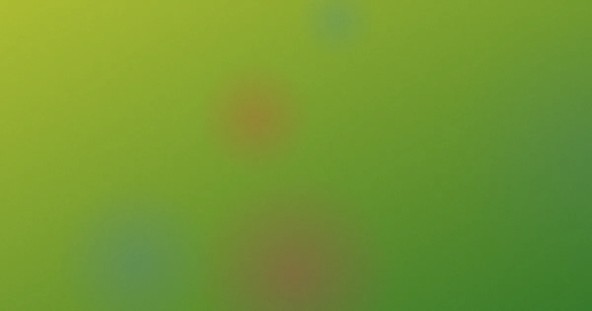 玖玖玖怎么用：实测省心版